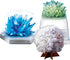 4M Natural History Museum Crystal Science Kit