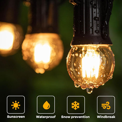 3 Watt Dimmable Low Wattage LED Bulbs, E26 Standard Base, 25 Watt Equivalent, Amber Glass, 2 Pack