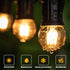 3 Watt Dimmable Low Wattage LED Bulbs, E26 Standard Base, 25 Watt Equivalent, Amber Glass, 2 Pack