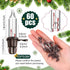 60 Count Bulbs Bulbs White,12Vx0.08A) Mudder Christmas Replacement Mini Light with Base Christmas Tree Incandescent