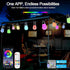 Generic 49ft, 15 Dimmable Bulbs IP66 Outdoor String Lights Outdoor Lights for Patio String Lights for Outside with LED