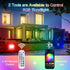 Changing,30W (300W Equivalent),3000LM, 2.4G Control,IP66 Waterproof,16 Sync,5000K,2-Pack RGB LED Flood Lights