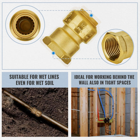 SUNGATOR Push to Connect Plumbing Fittings Mix, No Lead Brass 1/2 Inch Pushfit Female Adapter (4 PCS) and Male Adapter