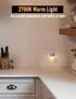 2-Pack 0.5W Vintage Mason Jar Plug in Night Light with On Off Switch, LED Night Lights Plug into Wall Socket, Farmhouse