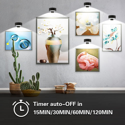 Arixinks 3PACK 3 Dimmable, Picture Light Battery Operated with Remote, Painting Light for Wall Art with Lighting Colors