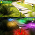 2 Pack echosari Color Changing Solar Pathway Lights, Dynamic Pattern Multicolor & Warm White Solar Lights Outdoor