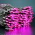 200 66 Commercial Set YULETIME Pink LED Christmas Lights, Feet Brown Wire UL Certified Grade Holiday String Light