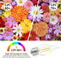 E26 C35 2700K Bulbs Bulb Bulb 4 (40 Bulbs Non-Dimmable 2Pack KINUR Candelabra led Light Decorative Candle Light Ceiling