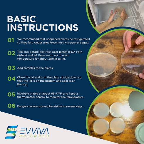 Evviva Sciences Potato Dextrose Agar Petri Dishes, Prepoured for Mushrooms, Home Test Kit, Science Fair