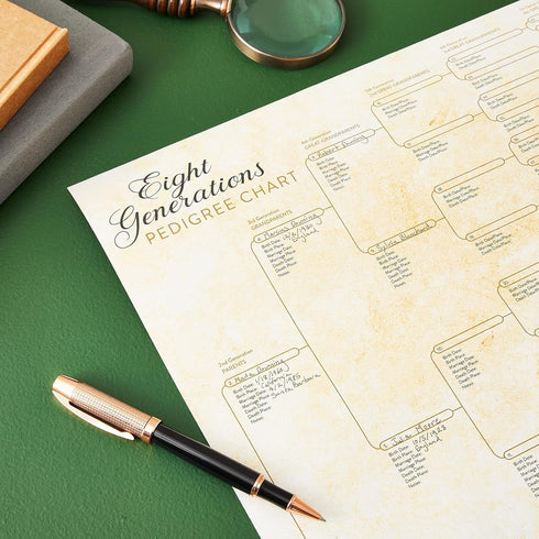 Okuna Outpost 15 Pack Family Tree Charts to Fill In, Off-White Poster Paper, 8 Generation Genealogy Charts