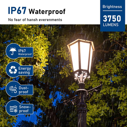 LED Light Bulb Equivalent 250W, 3750 Lumen, 5000K Cool Daylight White, 30W Non-Dimmable, 3 Pack