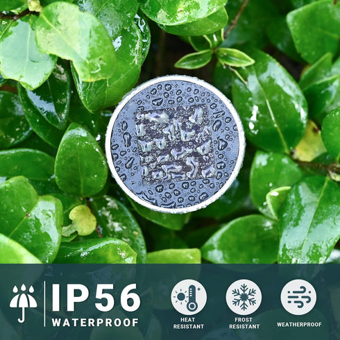 6 12 Pack SOLPEX Solar Garden Lights Outdoor, Color Stainless Steel Led Pathway Lights,Halloween/Christmas Solar
