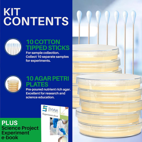 Evviva Sciences Nutrient Agar Petri Dishes Science Project Kit, Pre-Poured Agar Plates for Science Experiments