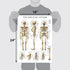 Palace Learning 3 Pack - Muscle, Skeleton, Spinal Nerves Anatomy Poster Set, Laminated 18" x 24"
