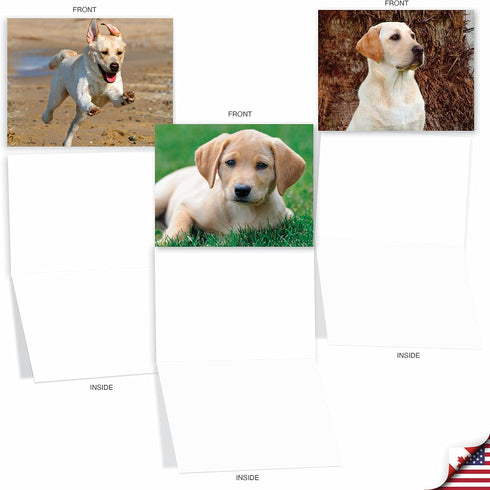 The Best Card Company - 10 Adorable Blank Dog Cards (4 x 5.12 Inch) - Boxed Set of Lovable Labs AM6325OCB-B1x10