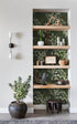 HAOKHOME 93042-4 Peel and Stick Wallpaper 17.7in x 9.8ft Boho Sage Green Eucalyptus