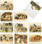 The Best Card Company 10 Boxed Thank You Cards w/Envelopes, Animal Appreciation Stationery Set