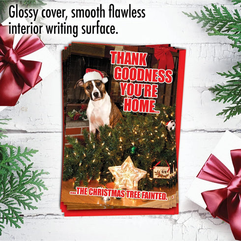NobleWorks Pack of 12 Funny Christmas Greeting Cards with Envelopes, Humor Holiday Design