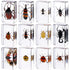 Macarrie 12 Pcs Insect Specimens for Kids Bug Collection Kit Real Specimens