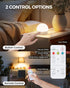Rechargeable Light Bulbs with Remote Control, 2 Pack, Battery Operated, Timer, Dimmable Wireless Puck LED Bulb