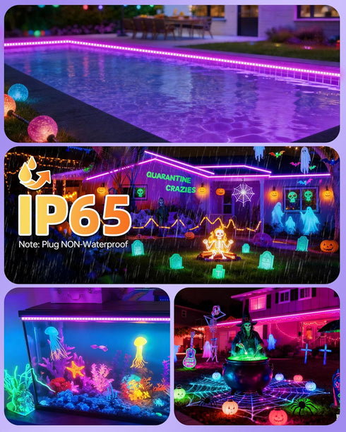 IP65 40ft/12M 720 12V 385-400nm, Waterproof LED Black Light Strip Kit LEDs, Flexible Blacklight Fixtures, Black Light