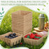 Reallnaive 20 Pack 1/2 Natural Pulp Fiber Berry Baskets Pint, Small Molded Produce Vented Basket for Strawberry