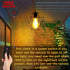 Solar Pendant Light - Outdoor/Indoor Solar Chandelier with Pull Cord, Perfect for Home, Chicken Coop, Porch, Barn