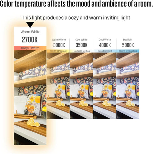 5318020 6.5 (100 B11 Dimmable Bulb, 6 Pack Westinghouse Watt Watt Equivalent) Frosted Filament LED Light Medium Base