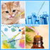 Teenitor 1Ml Transfer Pipettes, 50Pcs Plastic Eye Droppers for Liquids and Essential Oils