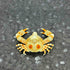 GFAZXDS A,15cm, Figurine,D-15cm Real Crab Insect Specimens Animal Taxidermy Collection for Science Education & Desk