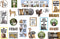 Teacher Created Resources Go Wild Animals Mini Bulletin Board