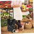 2pcs PRETYZOOM Utility Cart Wheels Replacement for Laundry Rolling Cart Grocery Shopping Trolley Wear Resistant Caster