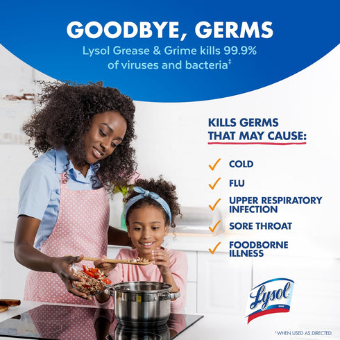 22 Oz (Pack 2) Lysol Kitchen Pro Antibacterial Cleaner Trigger, Fl