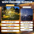 2Pack 150LED suddus Solar Garden Lights Outdoor Waterproof Decorative, Upgrade Firework Lights, Solar Fairy Lights