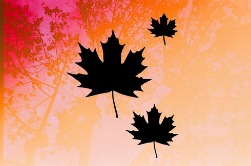 Reusable Maple Leaf Home Decor Stencil 8.5" x 11" - Custom Design for Autumn Crafts and Decorations