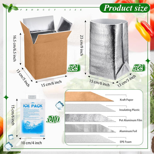 Honoson 2 Frozen Pack Pack Frozen (6'' 5'' 6.5'') Pcs Thermal Insulated Shipping Boxes for Food with Ice and Aluminum
