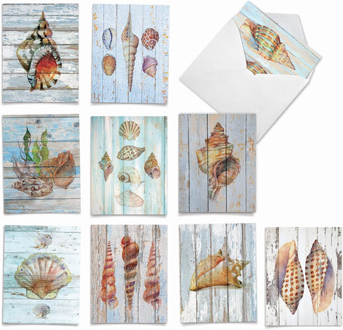 The Best Card Company - 10 Blank Note Cards with Envelopes (4 x 5.12 Inch) - Bulk All Occasion Cards Boxed - Driftwood