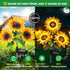3 Pack 9 800mAh 12H IP65 Solar Flowers Outdoor Waterproof: Silk Sunflower Solar Lights with Battery Runtime - Auto