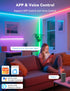 SPIW5 WS2811 SK6813 PAUTIX WiFi SPI+DMX Tuya SPI LED Controller Compatible with Alexa/Google Home,for Single