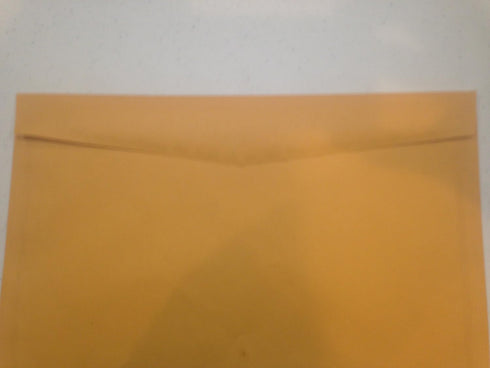 LUXPaper Booklet Envelopes, 10" x 15", Brown Kraft, 28lb. Text, 50 Qty