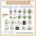 Set, 45 Bookshelf Bulletin Board Pcs Classroom Bulletin Board Decorations Inspirational Cutouts Reading Library Back