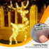 LitHome 8 Pack 20 60 2 Warm White Fairy Lights Battery Operated, FT LED Twinkle Lights Battery Operated Modes