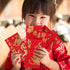 LIOOBO Chinese Red Envelopes: Lunar New Year of Money Envelopes, 2024 Chinese New Year Spring Festival Supplies (L-001 36Pcs) by LIOOBO