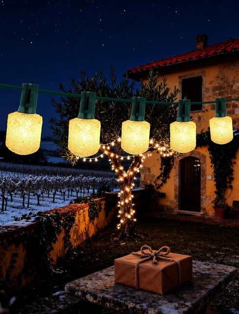 Hobbynors Vintage Christmas Lights, 25FT 12+1 Bulbs Old Fashioned Christmas Lights Outdoor, Connectable