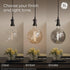 GE Lighting Vintage Style LED Light Bulbs, 60 Watt Equivalent, Amber Glass, Warm Candle Light, A15, 2 Pack