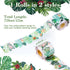 Bulletin Board Border Green Plant Tropical Die-Cut Rolled Two-Sided Printed Palm Tree Leaves Back to School Border Trim Boho Paper for Classroom Decorations Wall Door 72ft