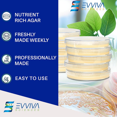 Evviva Sciences Nutrient Agar Petri Dishes Science Project Kit, Pre-Poured Agar Plates for Science Experiments