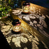 Squirrel Solar Lanterns Outdoor Waterproof Hanging Solar Lights Squirrel Gifts for Women Men Metal Decorative LED