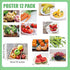 Motiskyy 12 Pcs Diversity Posters for Classroom Preschool Educational Learning Real Pictures for Daycare Home