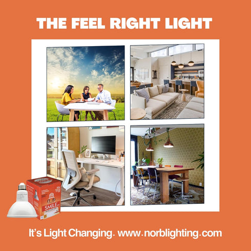 NorbSMILE CA Advanced Full Spectrum Par 30 Long Neck 10W LED Flood Light Bulb, California Energy Compliant, Natural